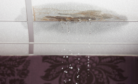 Plumber Box Hill North